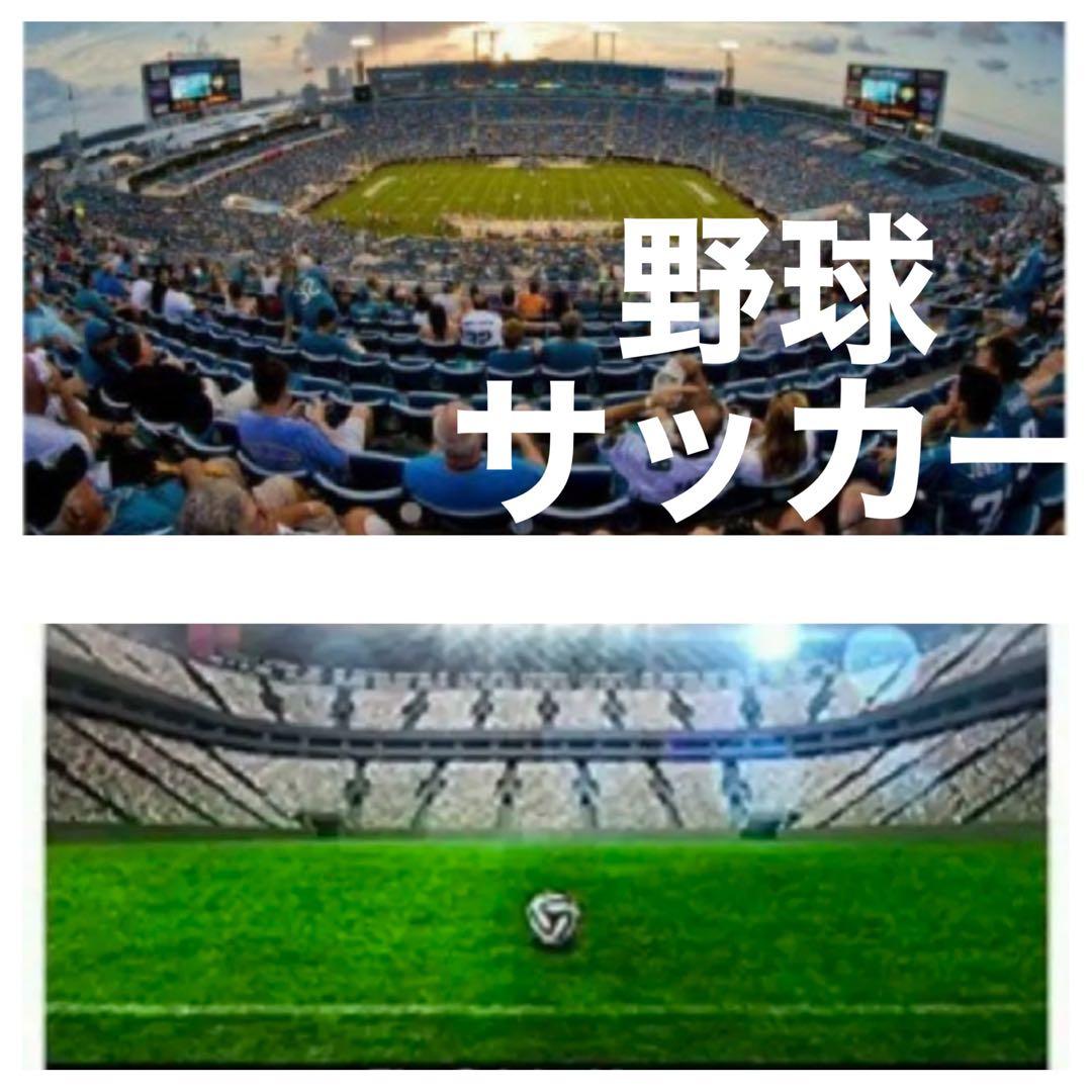 期間限定！SONYミラーレスカメラ用ズームレンズ！遠くが撮れる！サードパーティ製