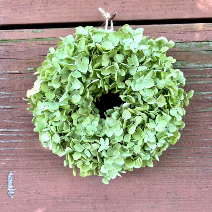 アナベル紫陽花　リース