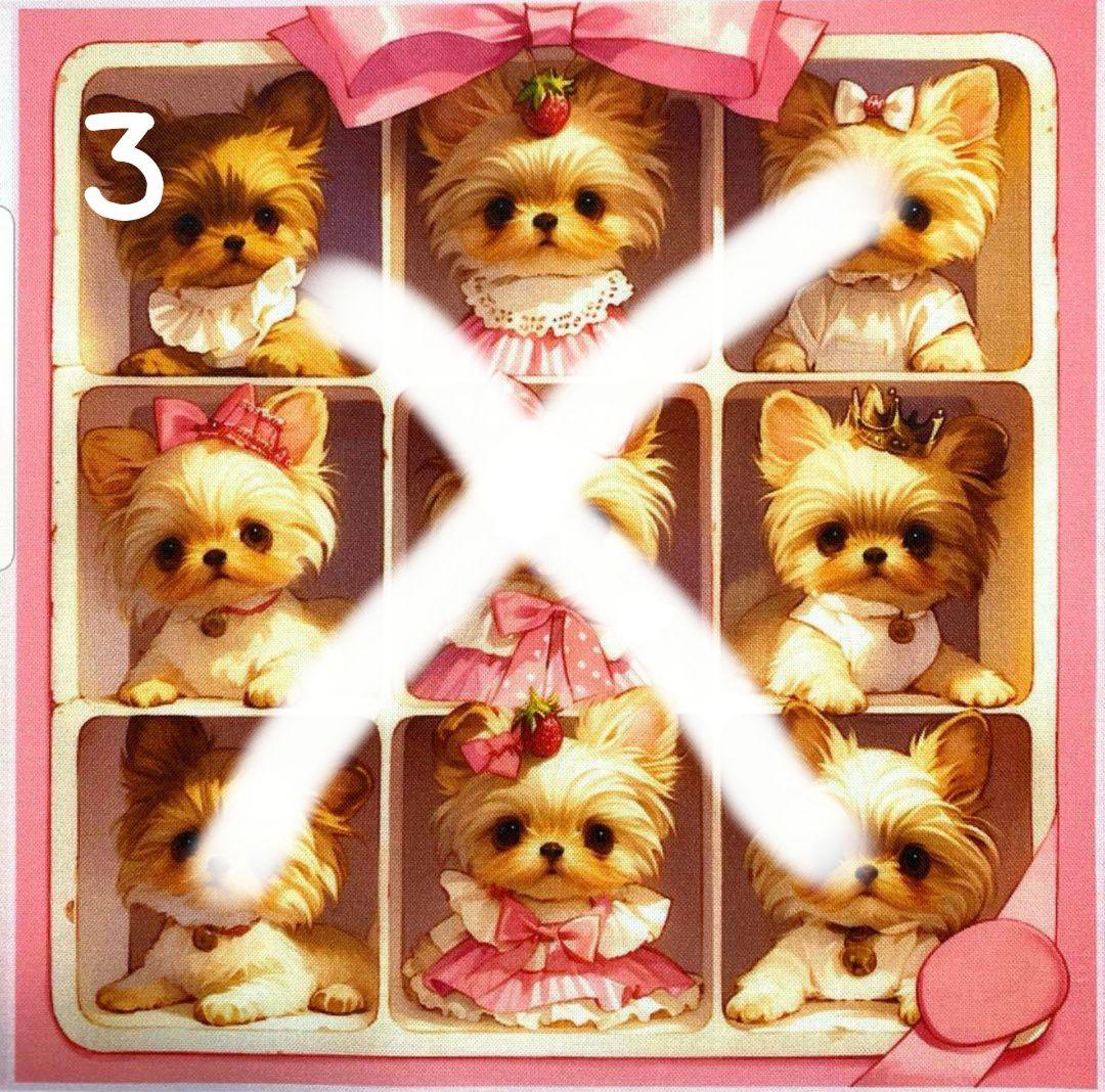 オーダー受付　クローゼット　ヨーキー　ご予約ページ　5/16