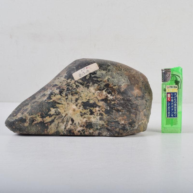 天然石　鑑賞石　菊花石　置物　重さ約1162g　N　8802