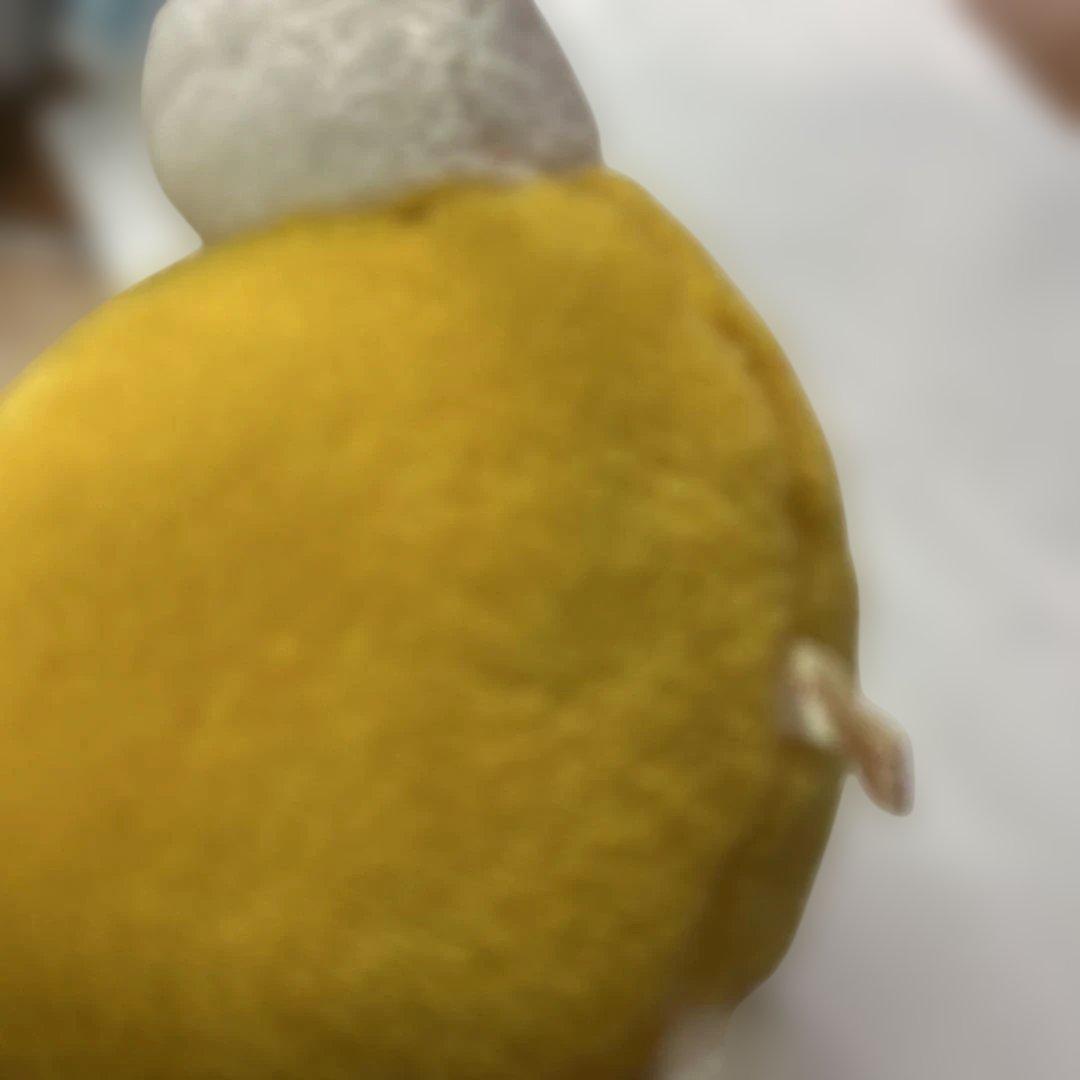ハローキティ ぬいぐるみ 当時物 日本製 1980年代 タグ付 SANRIO