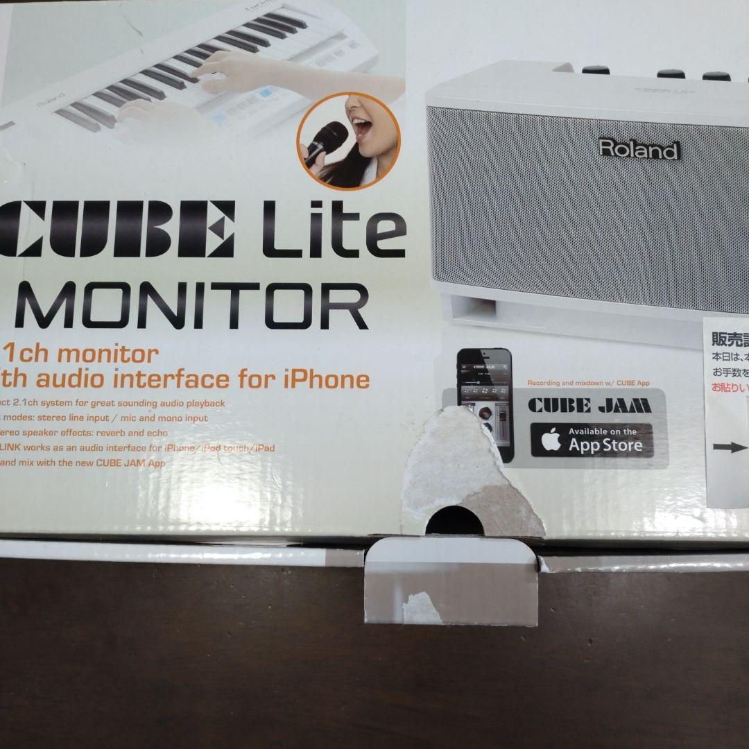 Roland Lite Monitor スピーカー　音楽 ローランド