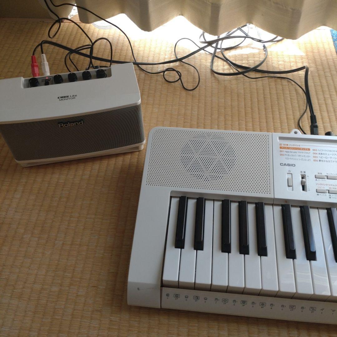 Roland Lite Monitor スピーカー　音楽 ローランド