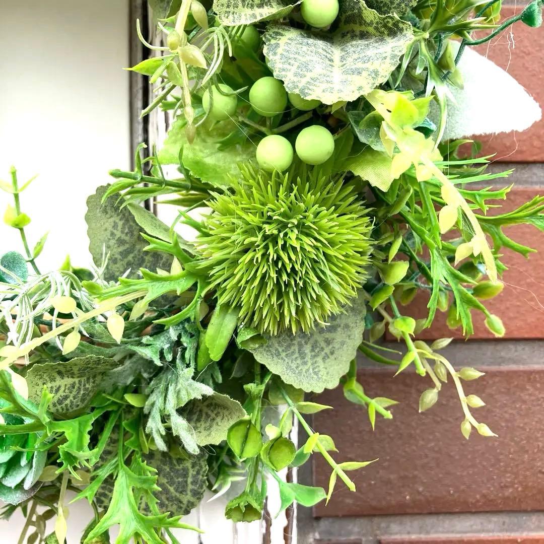 みぃです。ぷっくり多肉植物とたっぷりグリーンリース35cm&36~38cm