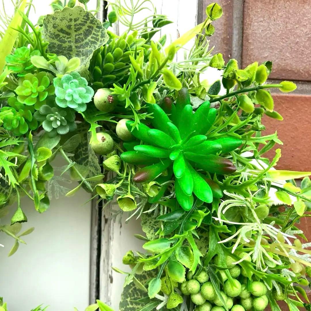 みぃです。ぷっくり多肉植物とたっぷりグリーンリース35cm&36~38cm