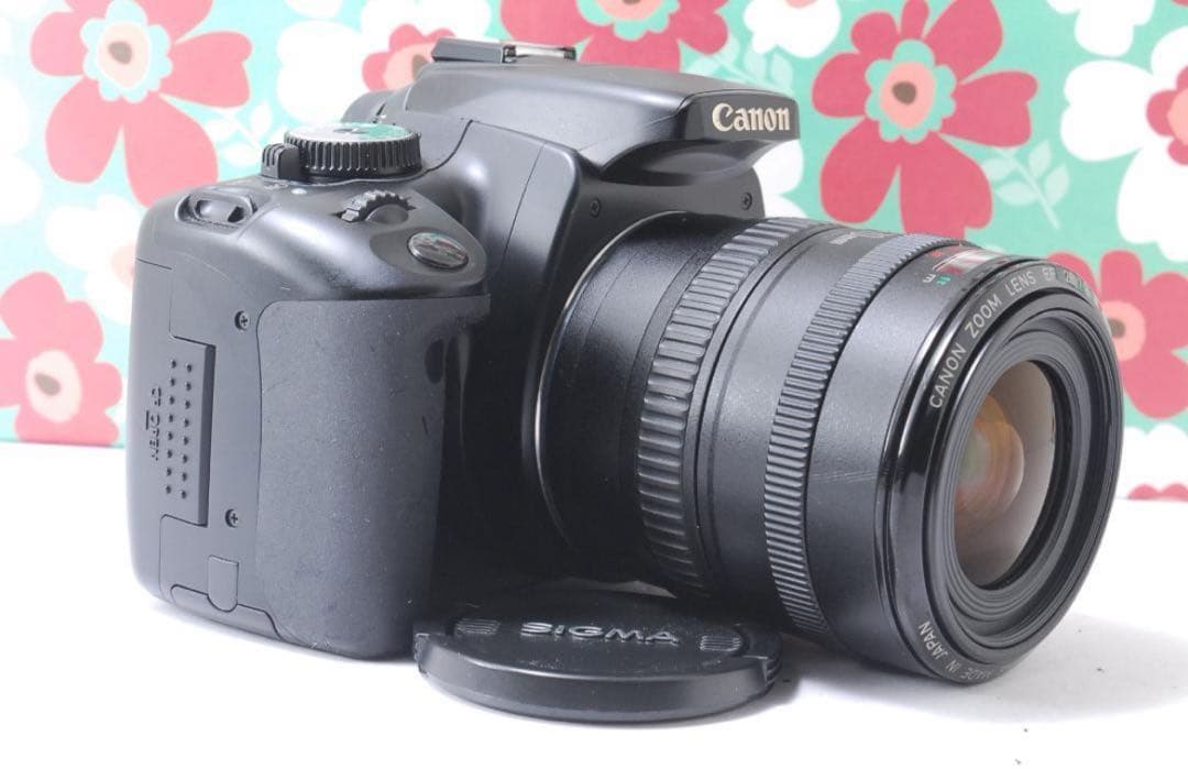 Canon EOS Digital X EF 28-70mmレンズキット