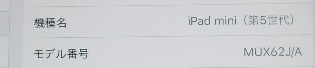 Apple iPad mini 第5世代 Wi-Fi+Cellular au版