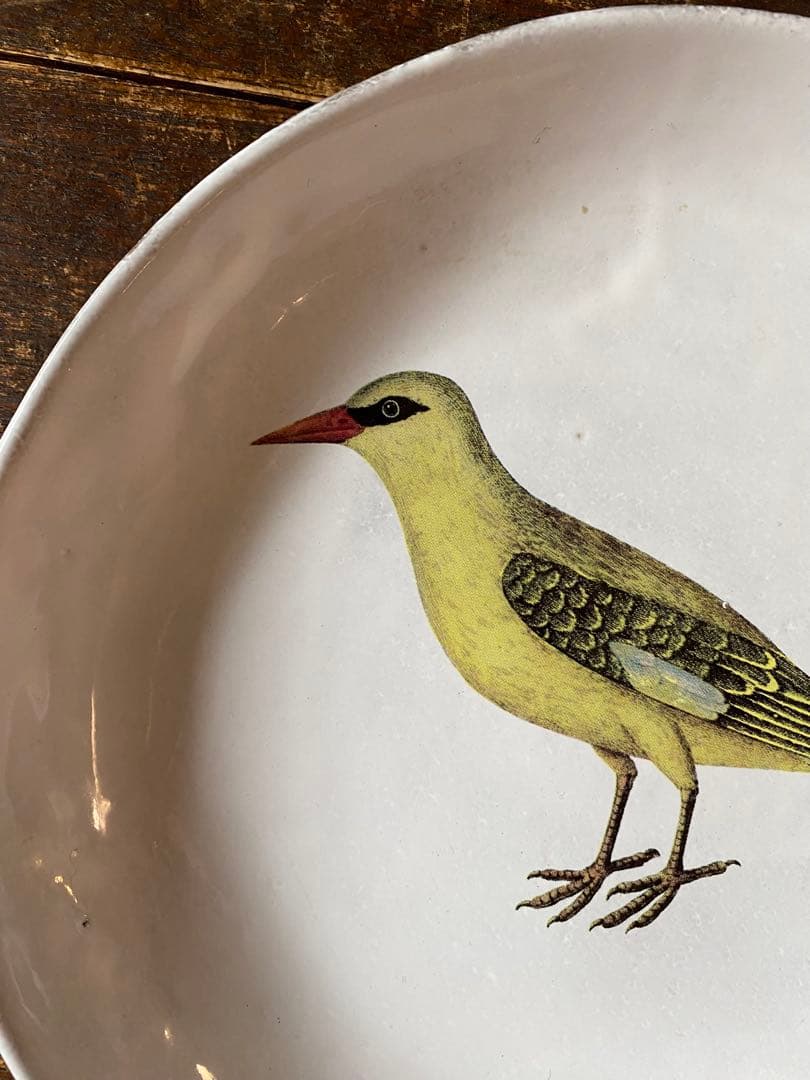 新品 アスティエ ジョンデリアン 鳥プレート John Derian