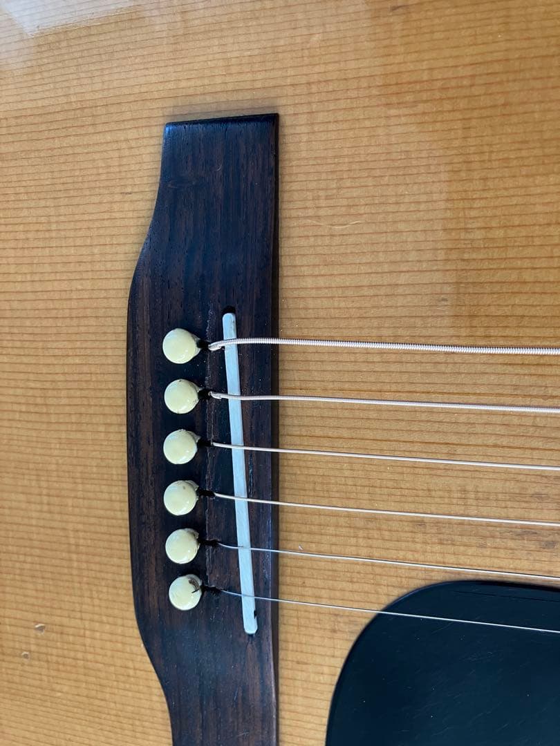 MORRIS モーリスSPECIAL60 S.yairi製　 縦ロゴ