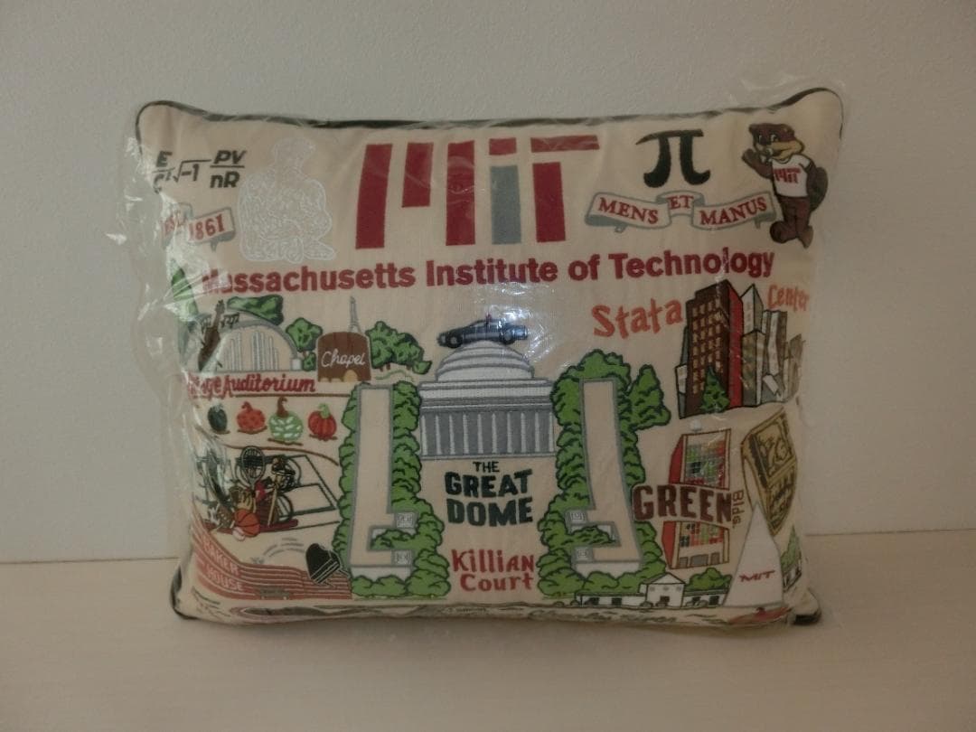 新品・未使用品　MIT マサチューセッツ工科大学 クッション