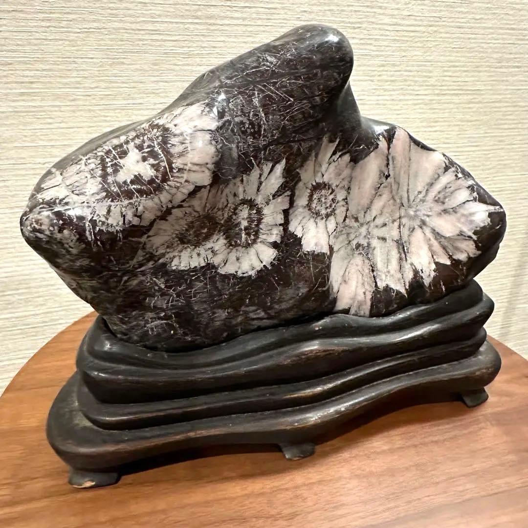 【菊花石】