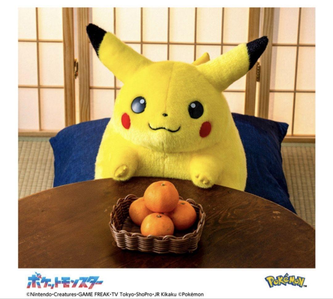 ポケモン30周年記念　おかえり！ピカチュウ1/1　新品未開封
