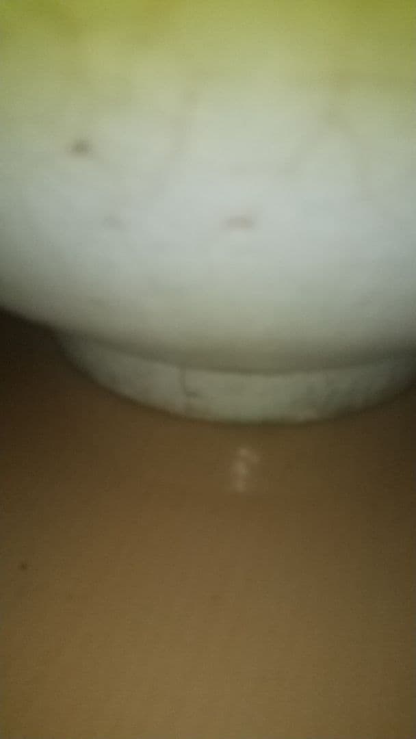 李朝青磁　甁