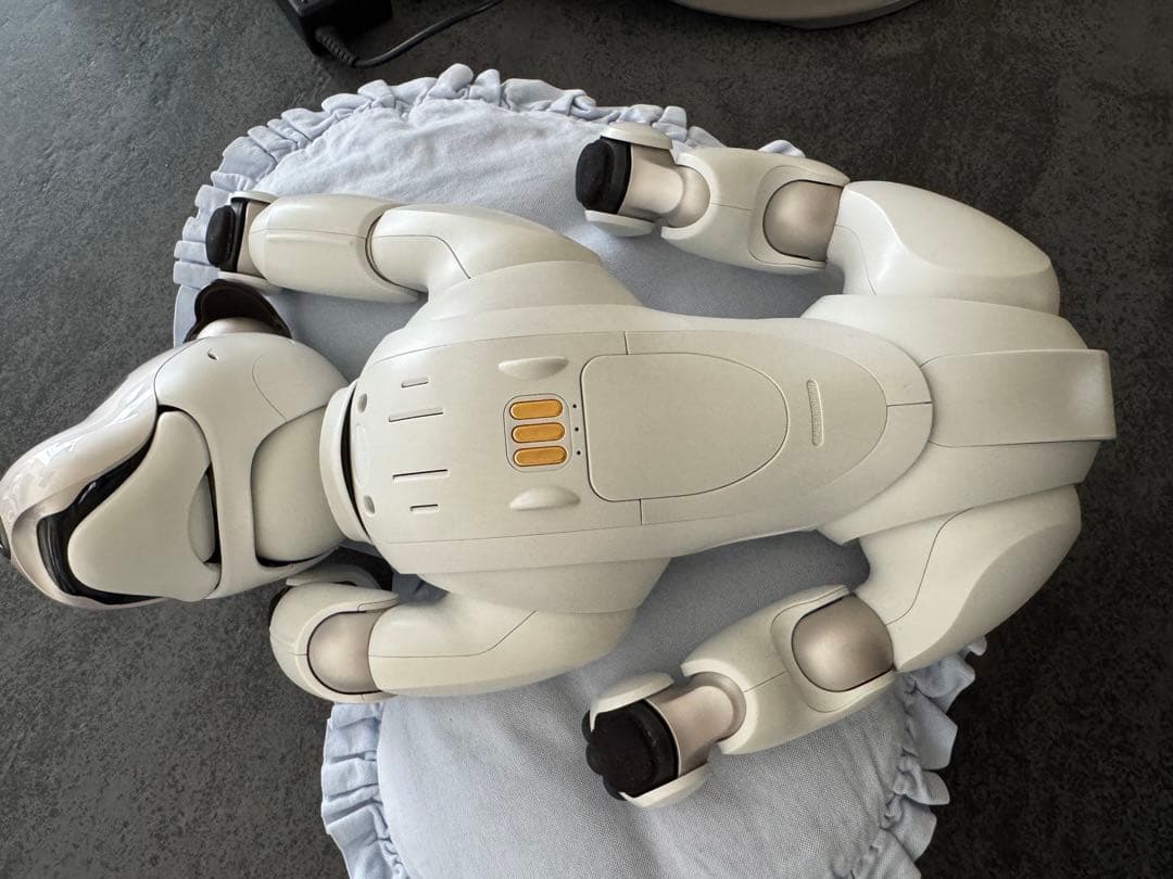 SONY aibo ERS-1000 動作確認済 ACアダプター アイボ