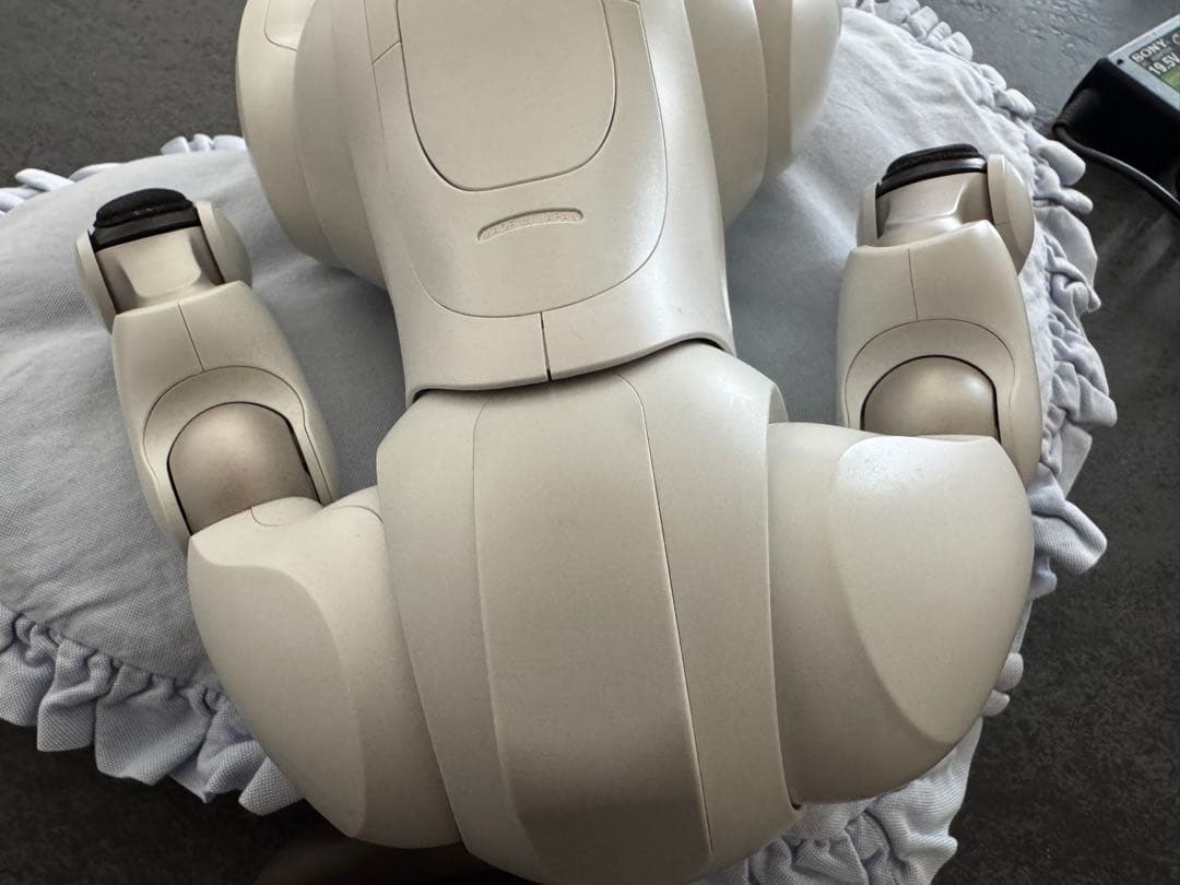 SONY aibo ERS-1000 動作確認済 ACアダプター アイボ