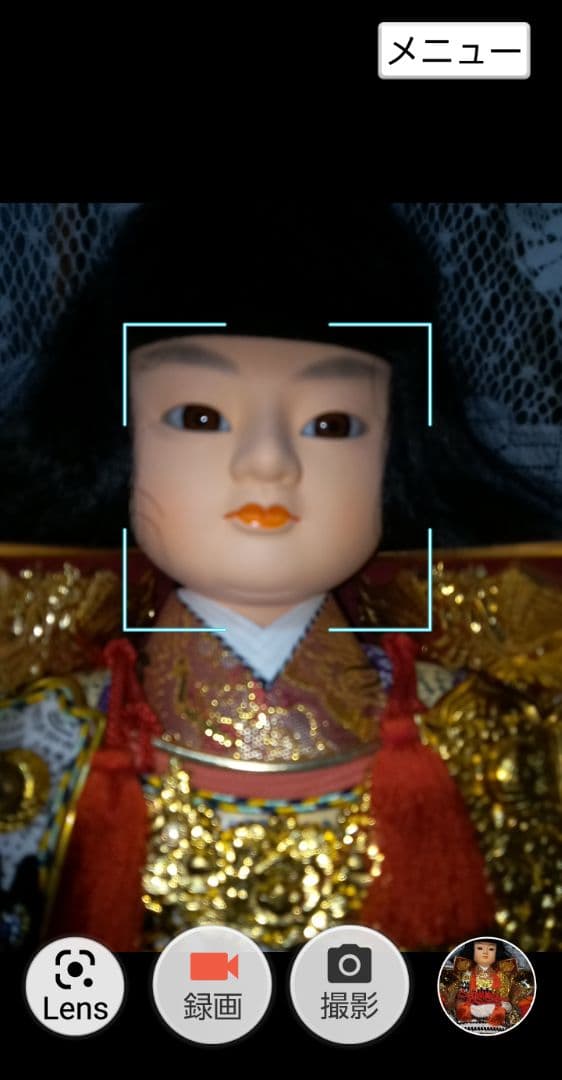 菊水作　若武者　10号　折り畳み式三段ワンタッチ　夢