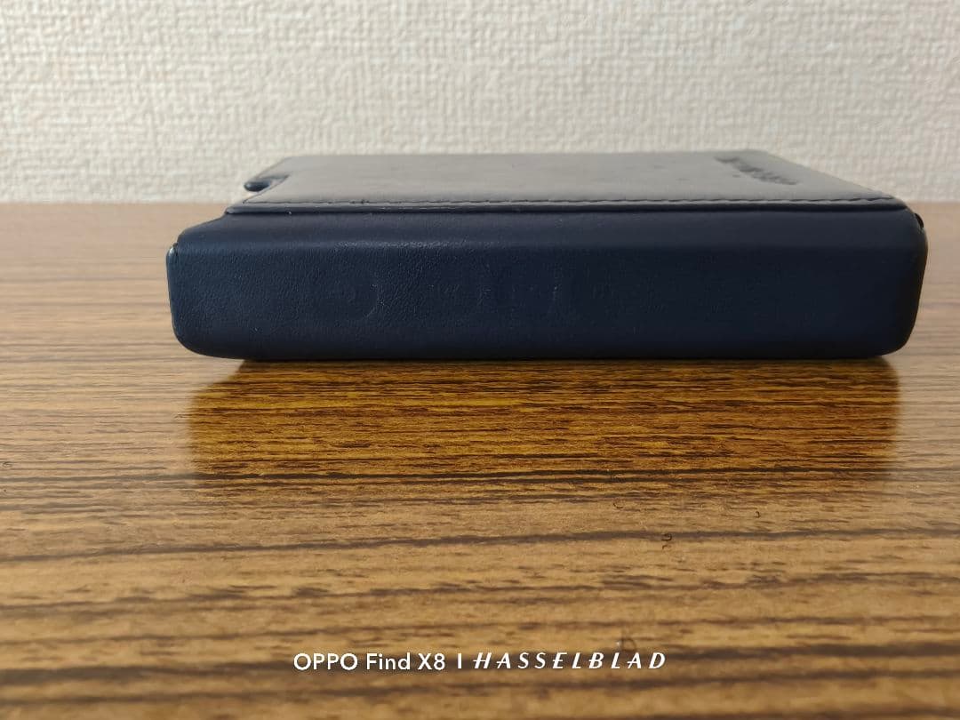 [ケース] Lotoo Paw Gold Touch ケース 若干使用感
