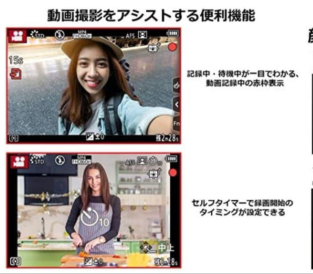 【美品】LUMIX DC-G100V ミラーレス コンパクト一眼