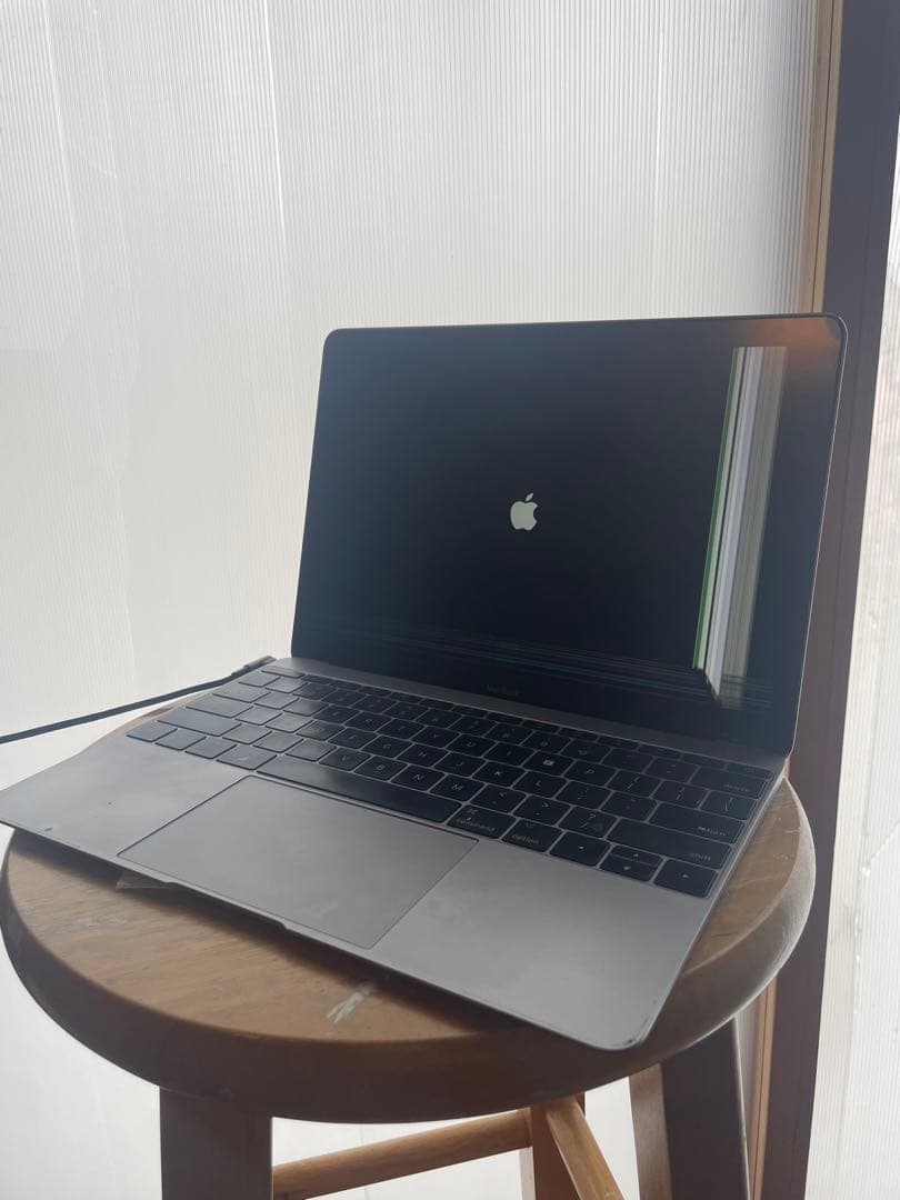 Apple MacBook Retina,16GB,2017(液晶故障)