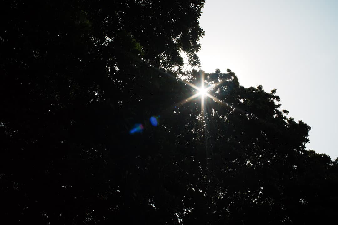 【伝説の富岡光学製】動作◎ XR RIKENON 28mm f2.8 041