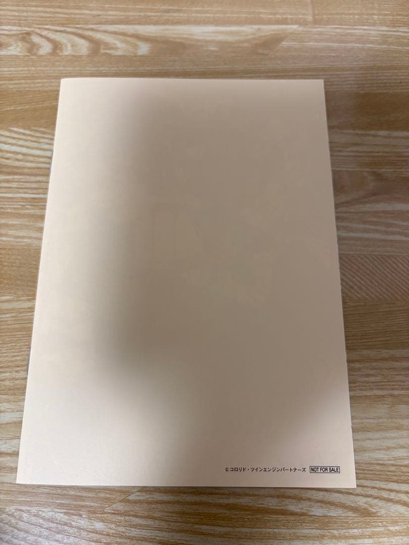 【即日発送】超かぐや姫　映画 入場特典 来場者特典 スタッフイラスト集