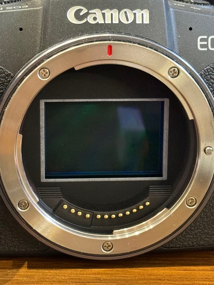 Canon EOS RP ミラーレス一眼カメラ　256GBのSDカード付き！
