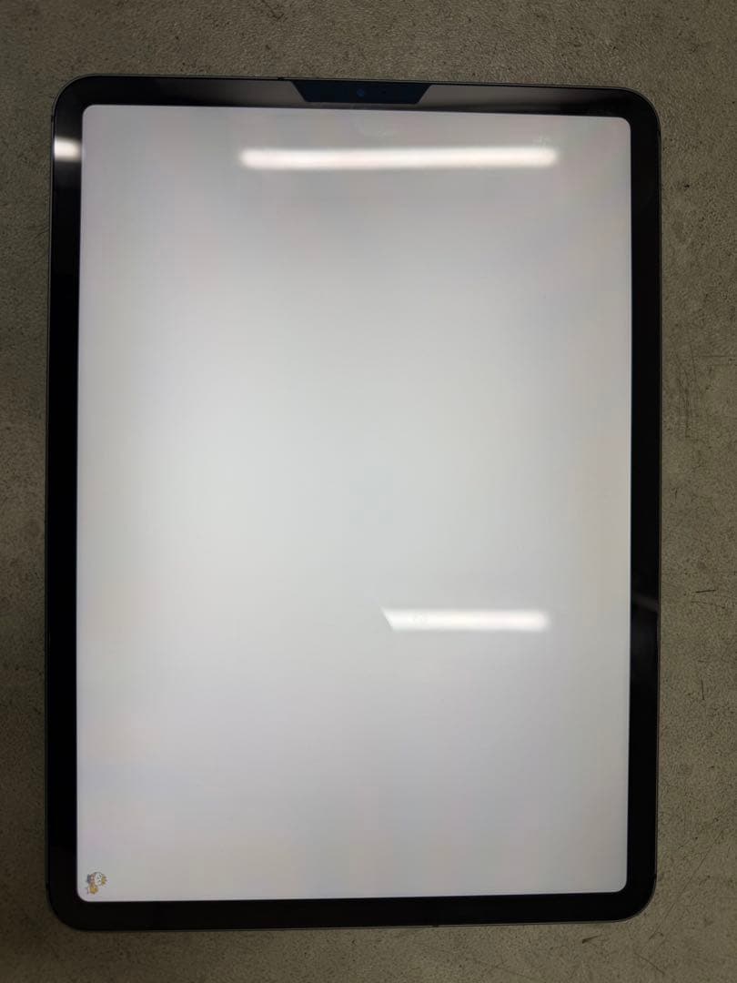 iPad Pro 11 (第1世代) 256gb セルラースペースグレー