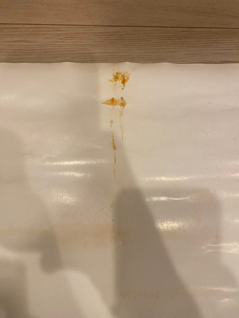 世界の終わり NO MUSIC,NO LIFE? 2011カレンダーポスター