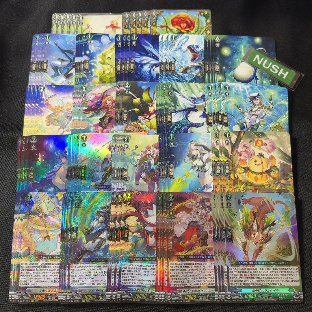 ストイケイア　RRR以下4コン　竜魂鳴導　ヴァンガード