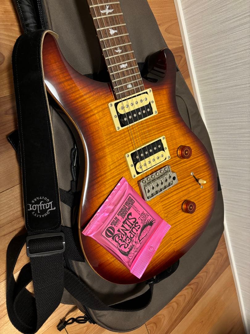 Paul Reed Smith (PRS) SE Custom 24サンバースト