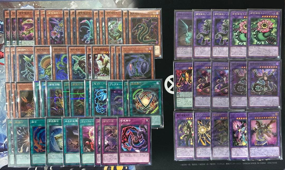 遊戯王 捕食植物 プレデタープランツ デッキ フュージョンドラゴン　即購入可