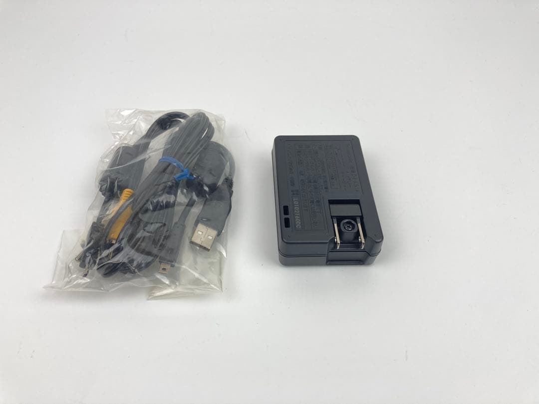 【極美品】Panasonic LUMIX DMC-FX77 レオパードゴールド
