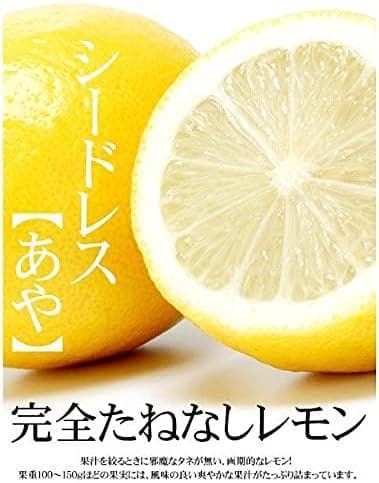 4鉢セット　柑橘　選んで