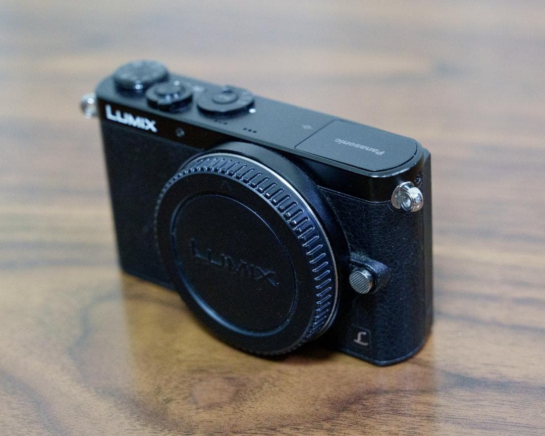 LUMIX GM1 / シャッター数 4901