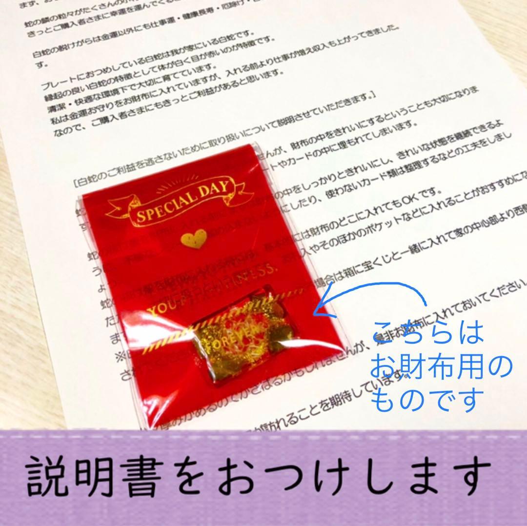 130.白蛇抜け殻入りプレミアムオルゴナイト＊スーパーセブン・ルチルクオーツ