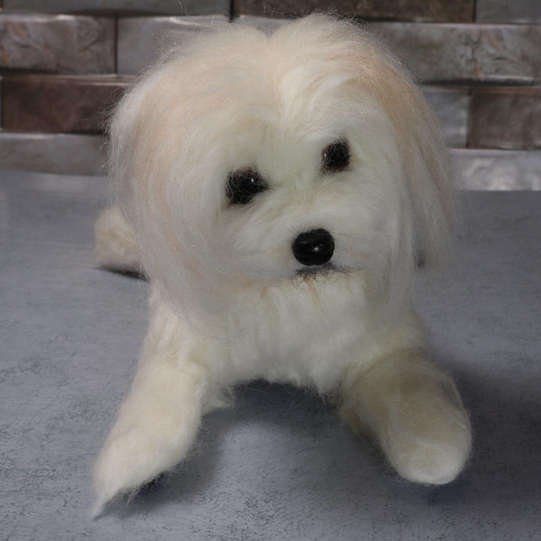 羊毛フェルト　あんず様確認用　チャイクレ　犬　ハンドメイド　オーダー