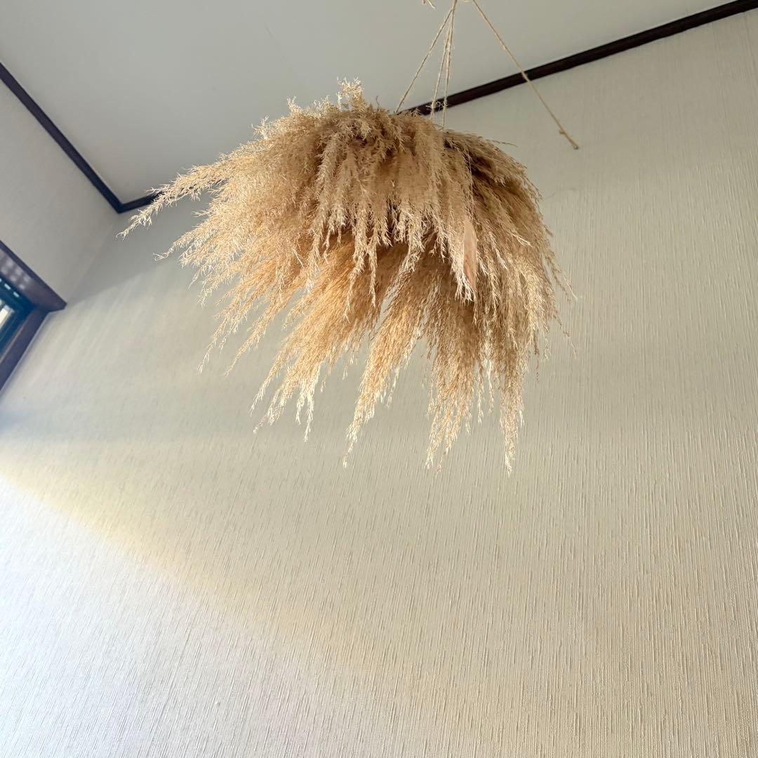 パンパスグラス フライングリース 35～40cm ＊ ピンクフェザー リース