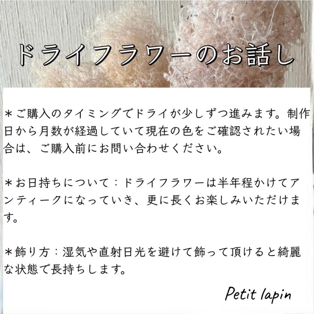 パンパスグラス フライングリース 35～40cm ＊ ピンクフェザー リース