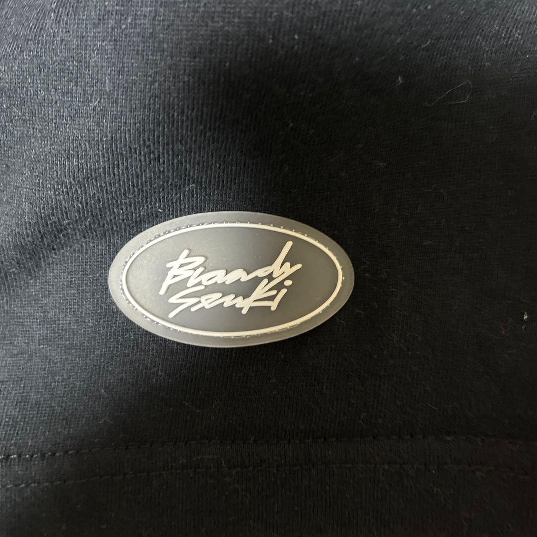 ブランデー戦記　バンドTシャツ Lサイズ