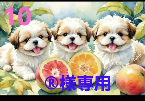 Tabit様パネル