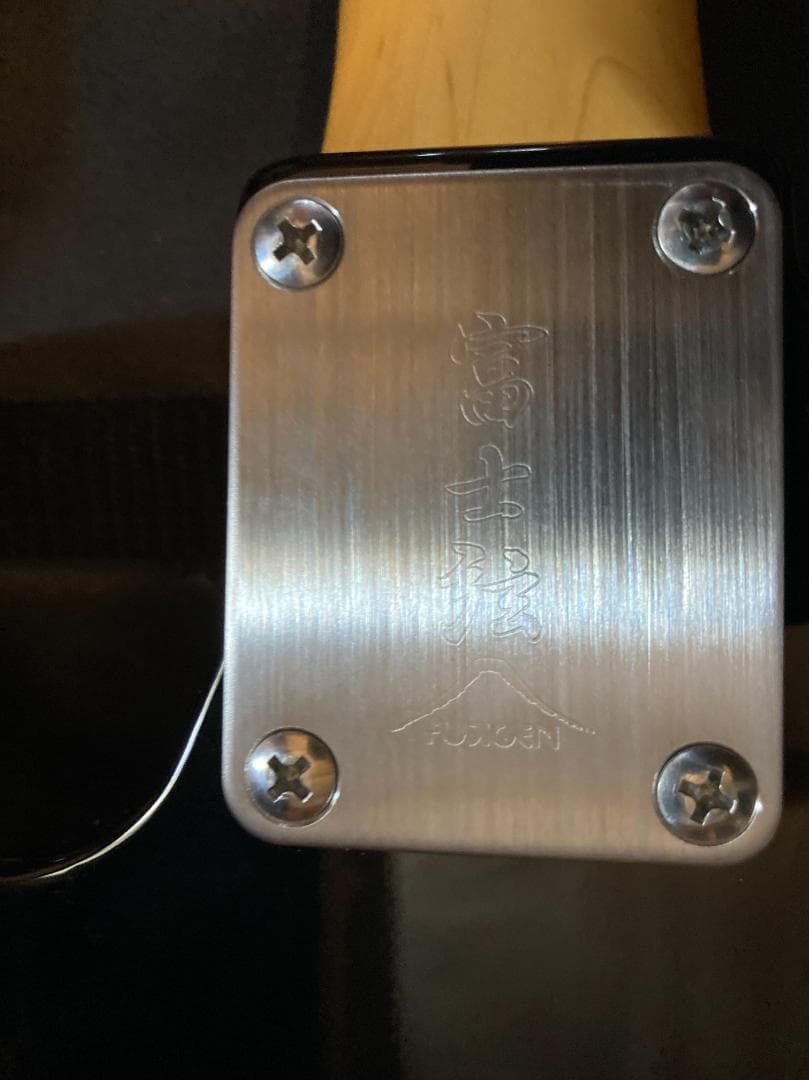 【かなり美品】Fujigen NTE10RAL-BK 2023年製