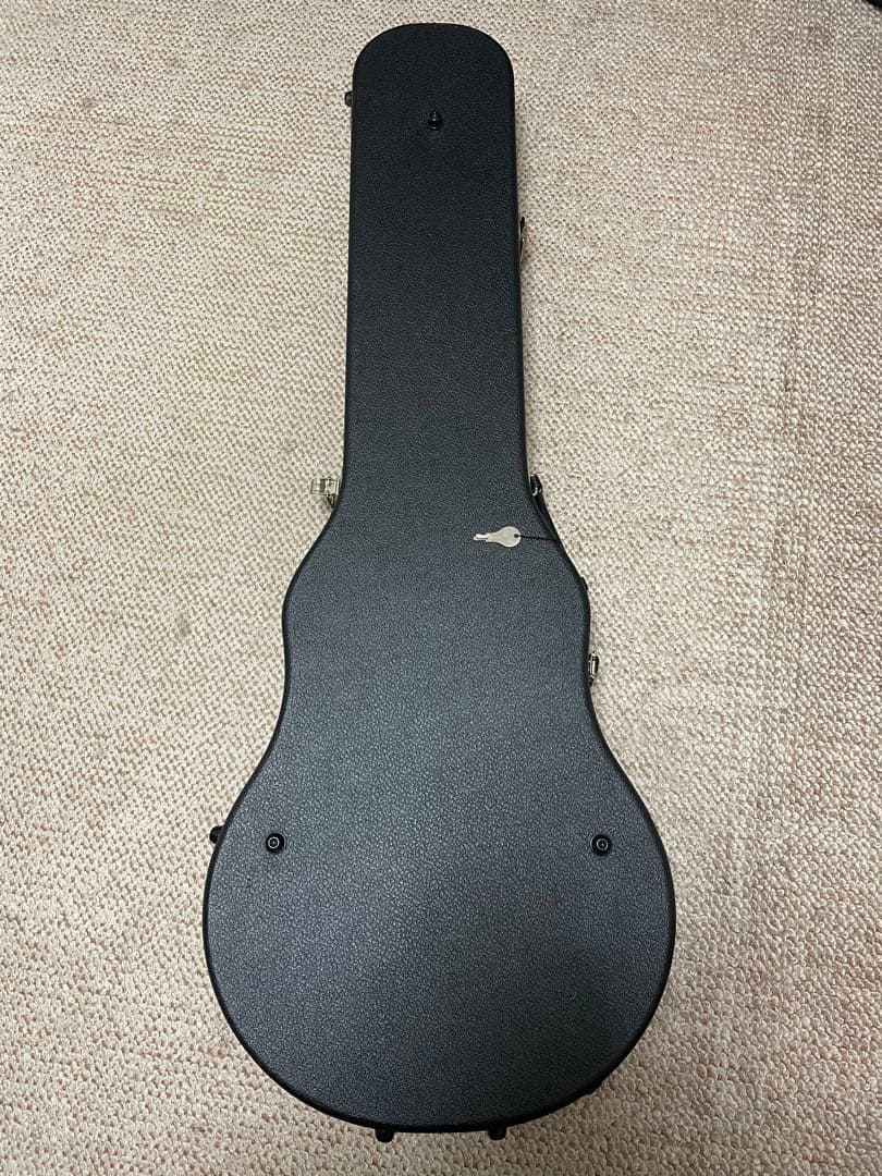 Aria Pro II LS-800VD CH 1980年代　ケース付き