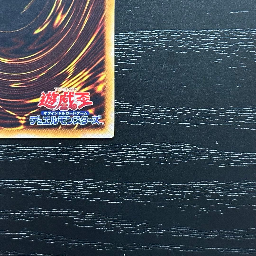 遊戯王 ブラックパラディン レリーフ