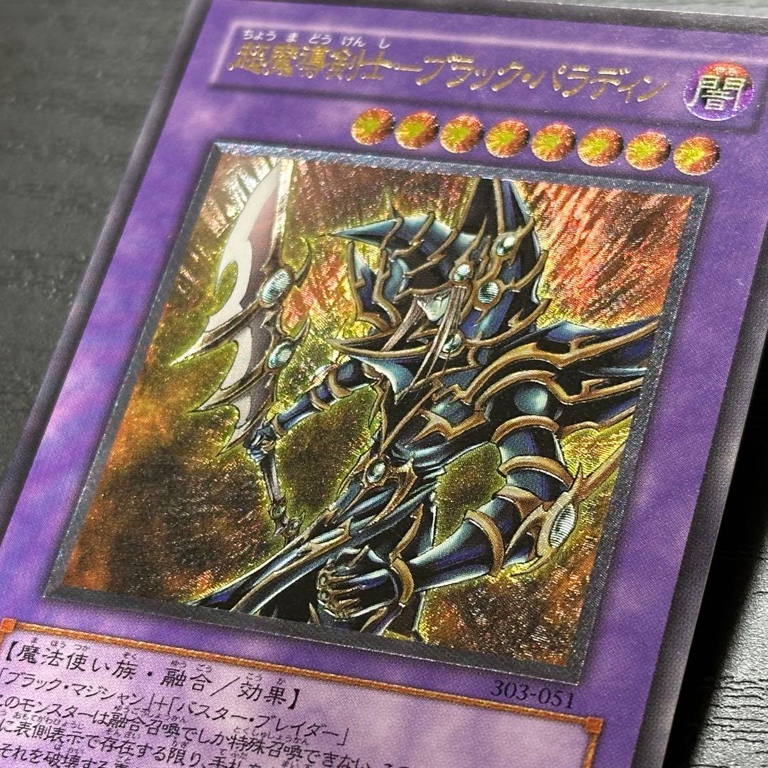 遊戯王 ブラックパラディン レリーフ
