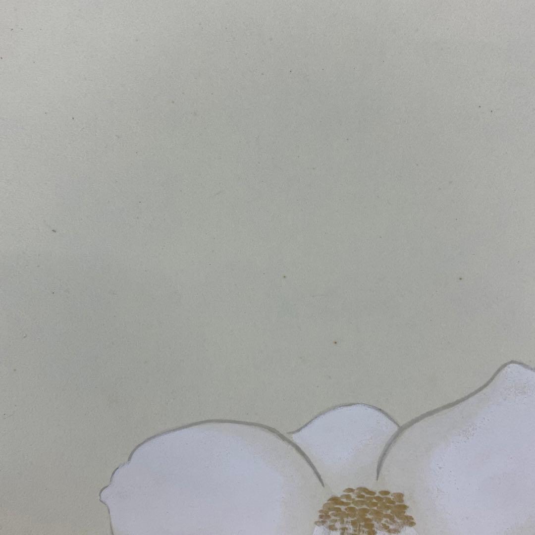 掛軸 安田 靫彦 早春佳色 複製 椿 紅白 横物