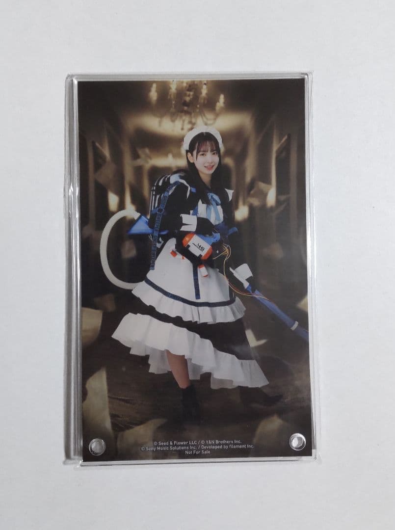 ひな図書 日向坂 渡辺莉奈 アクリルアートパネル メイド