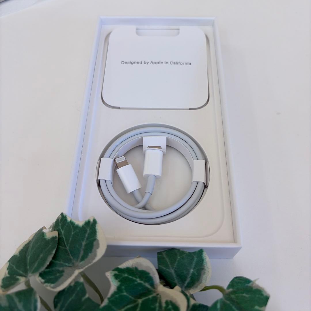 【美品】iPhone14Pro 256GB シルバー