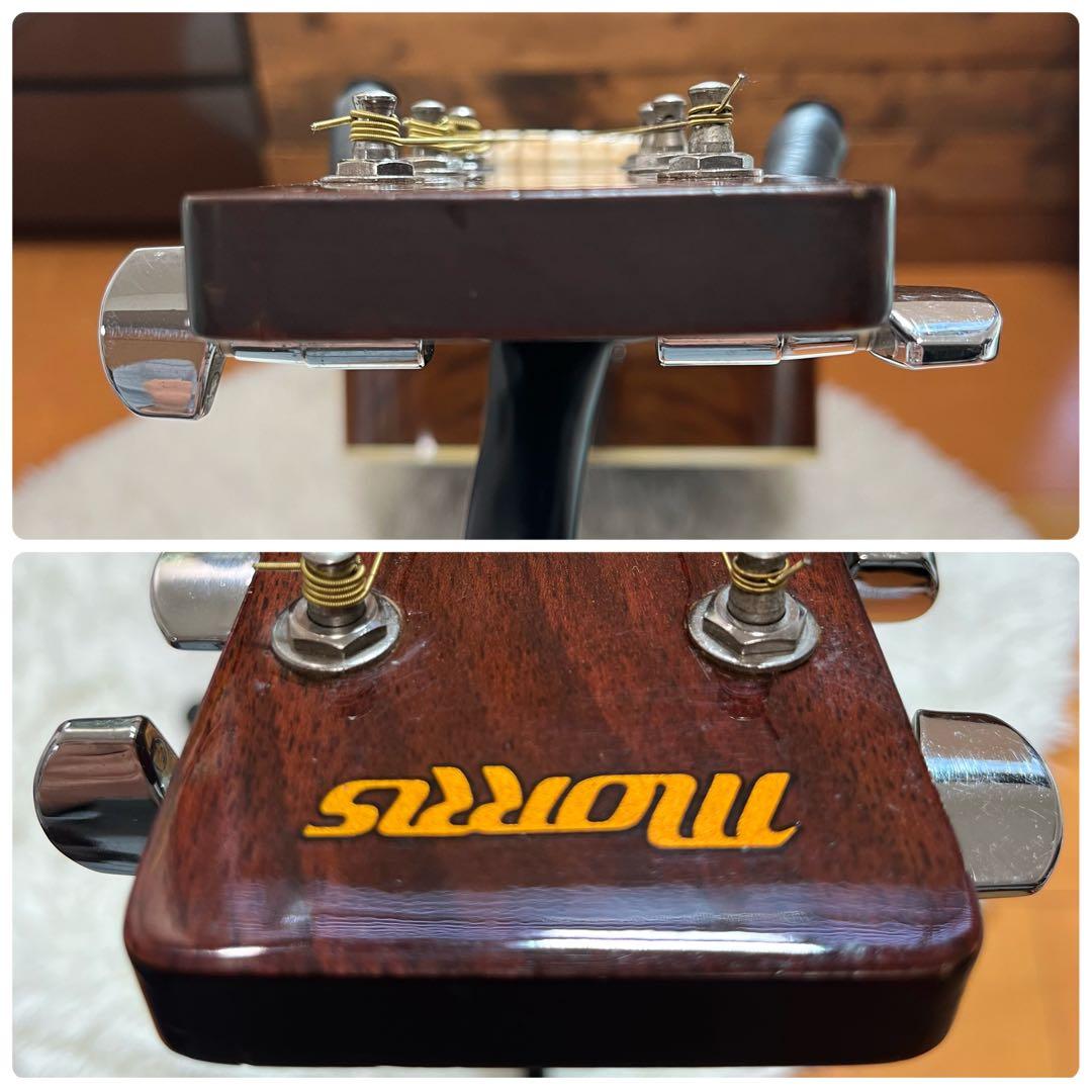 【左利き用】Morris MD-302LHN アコースティックギター　モーリス