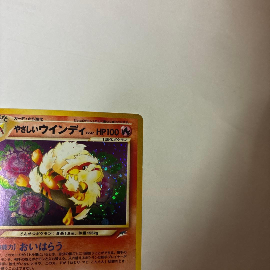 やさしいウインディ ★ 旧裏　ホロ　holo