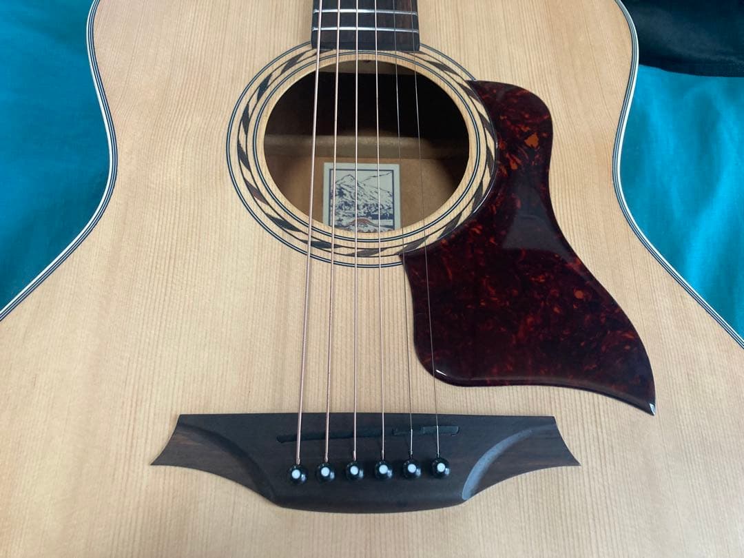 Bromo Guitars BAA2 ブロモギター ピックアップ仕様